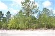 2068  Forest View Cir , Leland, NC