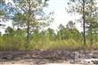 2091  Forest View Cir , Leland, NC