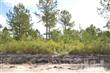 2087  Forest View Cir , Leland, NC
