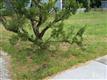 223 N 7th St , Wilmington, NC