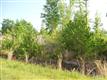 2900  Swartville Rd , Castle Hayne, NC