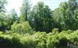 514  Dogwood Ln , Wilmington, NC