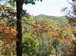 27  Ridge Trail Drive , Gloucester, NC