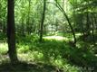 SR 1346 SR David Whitker , Mills River, NC