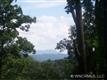 Asheville