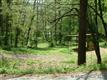 21 Wnc Baptist Camp Road, Biltmore Lake, NC 28715
