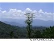 27 Running Deer Lane #27, Mars Hill, NC 28754