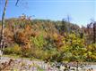 xxx Old Fort Rd #4, Black Mountain, NC 28711