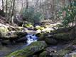 999 Blackberry Inn Road, Weaverville, NC 28787