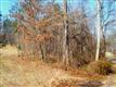 12 Kevin Memorial Drive, Candler, NC 28715