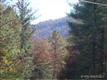 LOT 8  Oak Laurel Drive , Eastatoe, NC