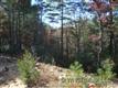 LOT 8 Oak Laurel Drive, Eastatoe, NC 28712