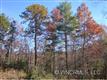 LOT 8 Oak Laurel Drive, Eastatoe, NC 28712