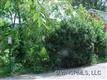 34  Crescent Street 