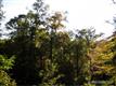 1018 Mills River Way #45, Mills River, NC 28759