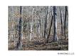 99 Whispering Woods Path #99, Mars Hill, NC 28754
