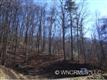 99 Whispering Woods Path #99, Mars Hill, NC 28754