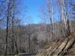 99 Whispering Woods Path #99, Mars Hill, NC 28754