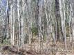 99 Whispering Woods Path #99, Mars Hill, NC 28754