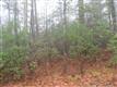 Lot 15  Stone's Lake Dr , Cedar Mountain, NC