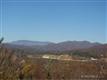 Spruce Pine