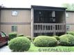 319  Greenville Hwy, U-501 , Brevard, NC