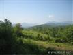 000  Jones Road , Leicester, NC