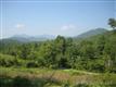000  Jones Road , Leicester, NC