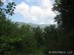 000 Bartlett Mountain Views, Asheville, NC 28805