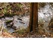 0 Bald Rock Rd., Balsam Grove, NC 28708