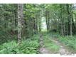 574 Whitener Road, Penrose, NC 28766