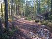 574 Whitener Road, Penrose, NC 28766