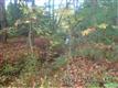 574 Whitener Road, Penrose, NC 28766