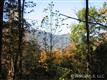 Lot 4  Lytle Mountain Road , Marion, NC