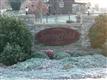 214  Springfield Meadow Dr , Etowah, NC