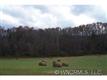 200 Bill Helton Road, Mill Spring, NC 28756