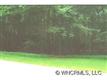 7  Frith , Biltmore Forest, NC