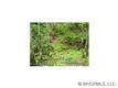 83  Gobbler Ridge Drive , Mills River, NC