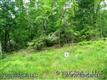83 Gobbler Ridge Drive, Mills River, NC 28704