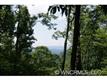 107A  Ladd Ridge Rd , Rosman, NC