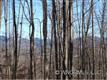 495 Lytle Cove Road, Swannanoa, NC 28778