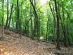 72 Honey Locust Drive, Mills River, NC 28759