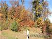 141 Tarnhill Drive, Flat Rock, NC 28731