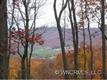 273  Secluded Hills Lane , Arden, NC