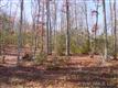 435  Walnut Valley Parkway , Arden, NC