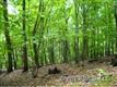 14  Mulberry Lane , Mills River, NC