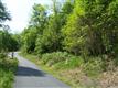 107#  Wood Haven Lane , Black Mountain, NC