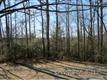 00  Cheestoonaya Way , Brevard, NC