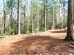 10  Sandy Spring Road , Arden, NC