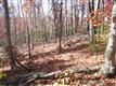 0000  Forest Brook Dr. , Black Mountain, NC